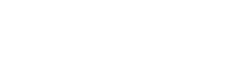 Visa Guide Logo